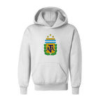 Youth Kids Argentina National Soccer Team Pullover Hoodie
