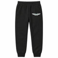 Aston Martin youth jogger sweatpants in Black, Youth Large ages 10–12