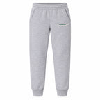 Aston Martin youth jogger sweatpants in Grey, Youth Large ages 10–12