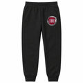 Fiat youth jogger sweatpants in Black, Youth Large ages 10–12
